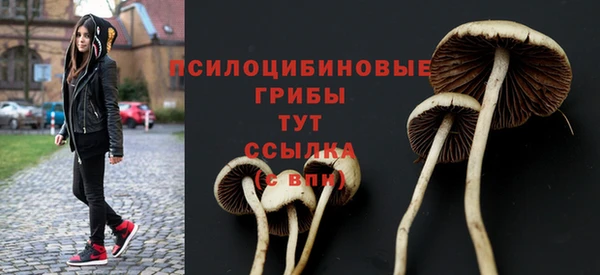шишки Вязьма