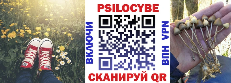 Галлюциногенные грибы Cubensis где найти мега онион Жирновск